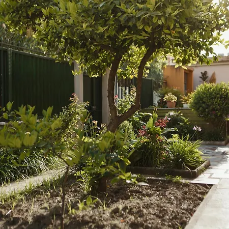 Rare With Private Parking & Garden Apartment Durrës